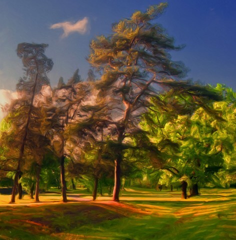 Landscape painting showing forest trees on the beautiful sunny day